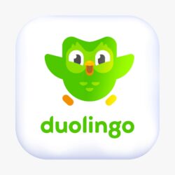 Duolingo - plan super 🦉